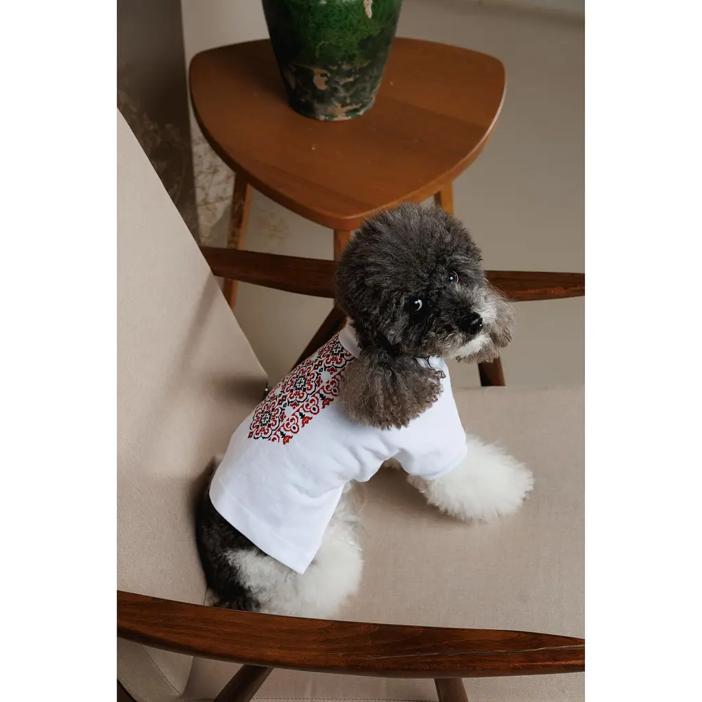 Футболка Pet Fashion Breeze для собак L - фото 7