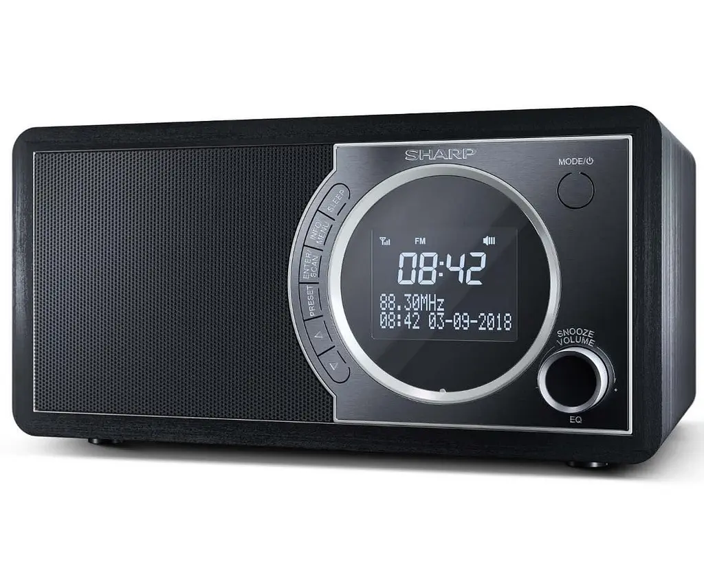 Радіоприймач колонка Sharp DR450BK Black DAB+, FM RDS, Bluetooth, мережа - фото 3