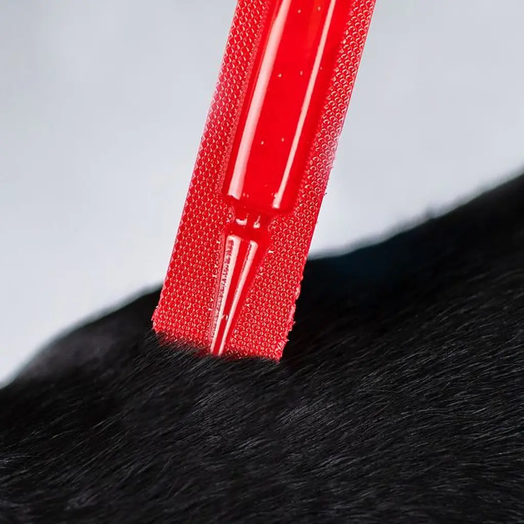 Капли на холку для собак ProVET Profiline от внешних паразитов от 10 до 20 кг 4 пипетки по 2 мл - фото 6