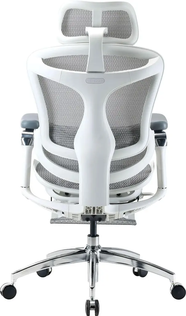 Офісне крісло Sihoo DORO C300 Pro Mesh White with footrest (DORO-C300-PRO-M102-JT) - фото 4