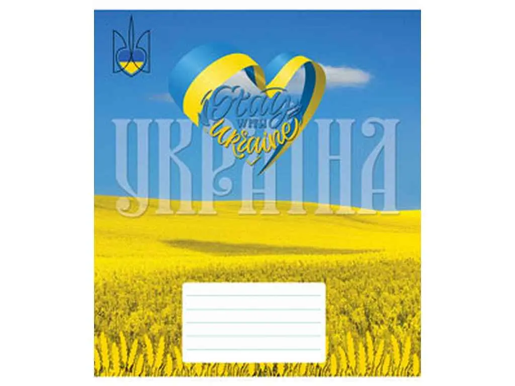 Зошит в клітинку МРІЇ ЗБУВАЮТЬСЯ 96 арк. 8 шт./уп. арт.3489к Україна