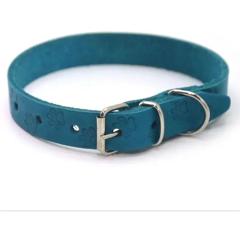 Нашийник для собак Zoo-hunt ОТ Лапка шкіряний тиснений бірюзовий ВІД Лапка 3,0/41-51 см - фото 1