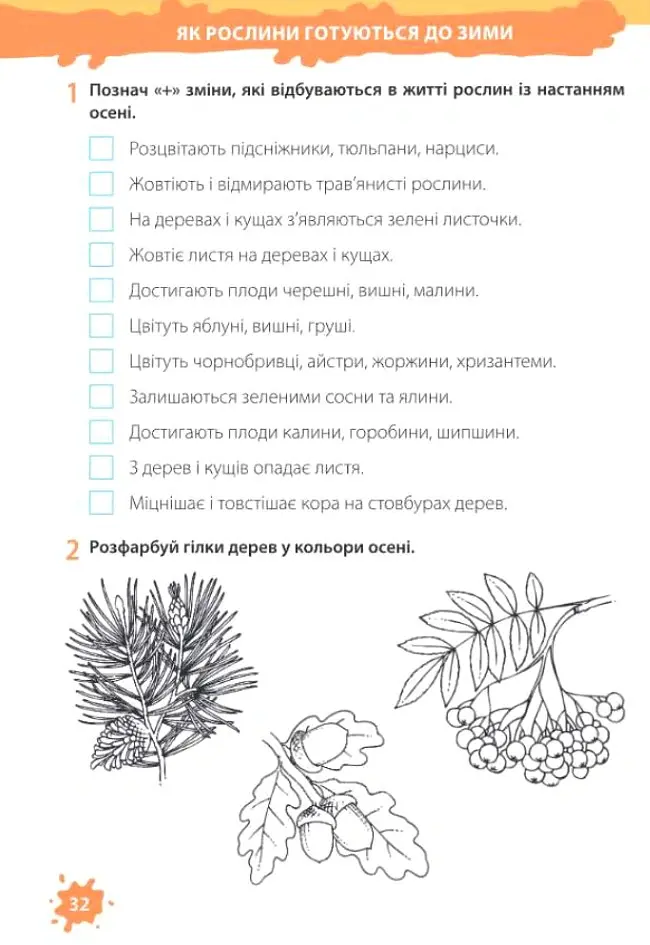 Я досліджую світ. Робочий зошит. 2 клас. Частина 1 (до підручника Т. Гільберг) - Лариса Мечник - фото 8