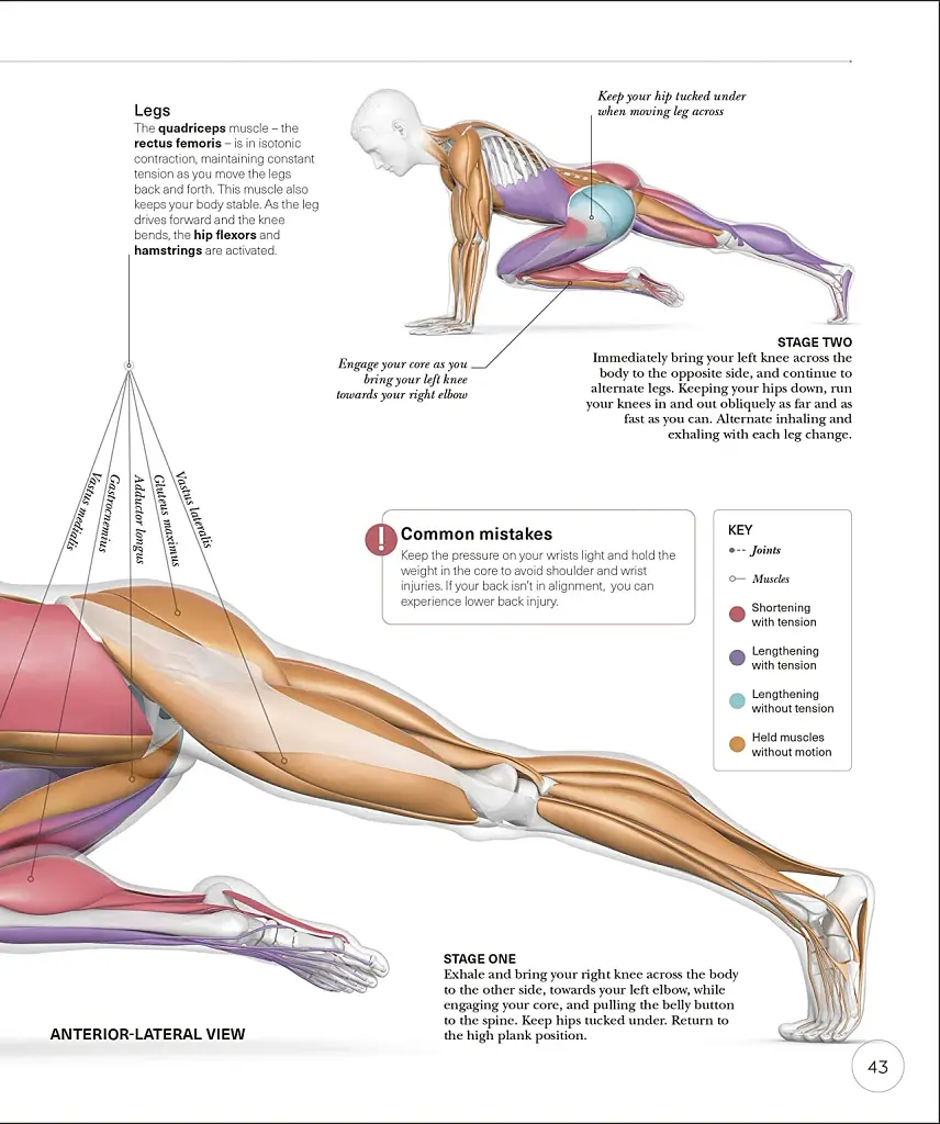 Science of HIIT - фото 8