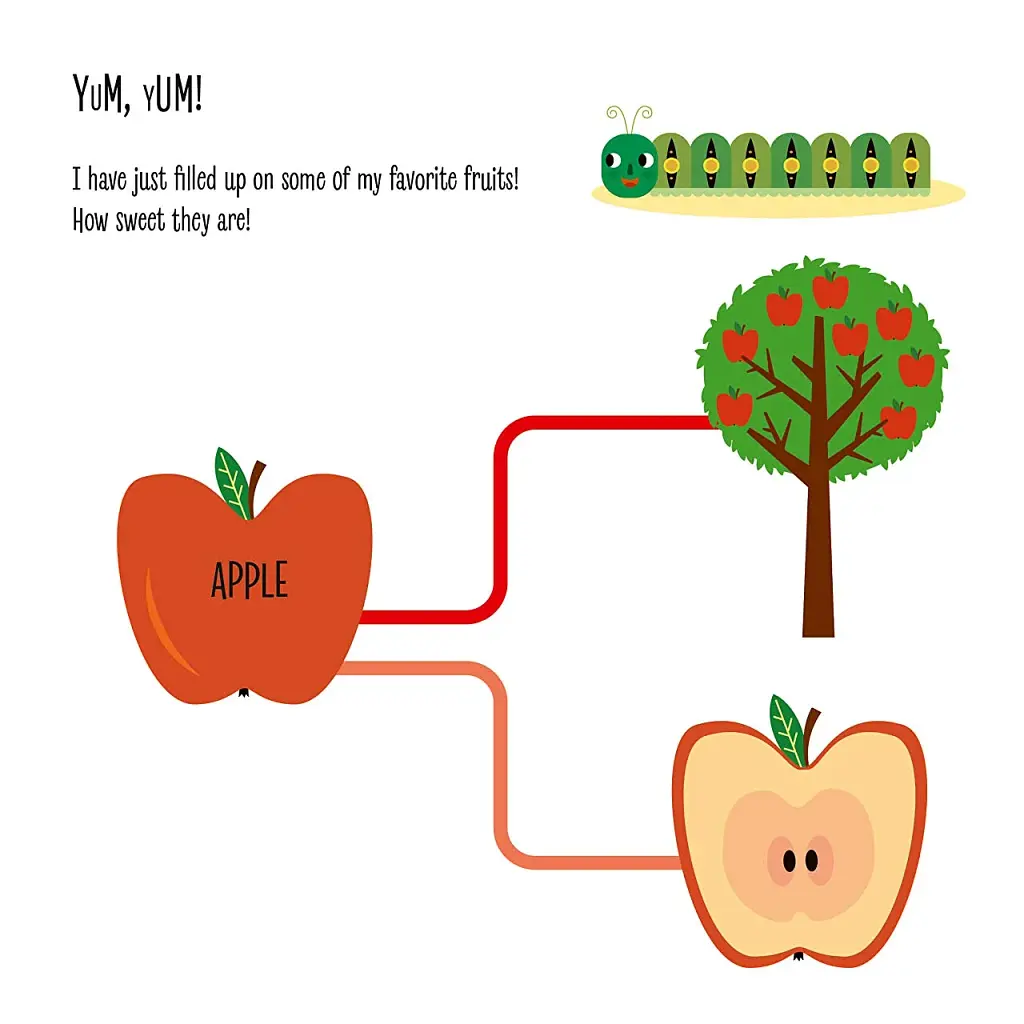 My First Book of the Vegetable Garden. Montessori: A World of Achievements - фото 5