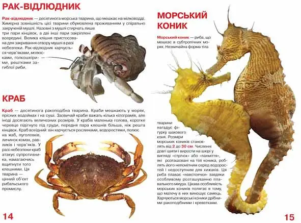 Велика книга Кристал Бук Мешканці морів та океанів (F00013014) - фото 3