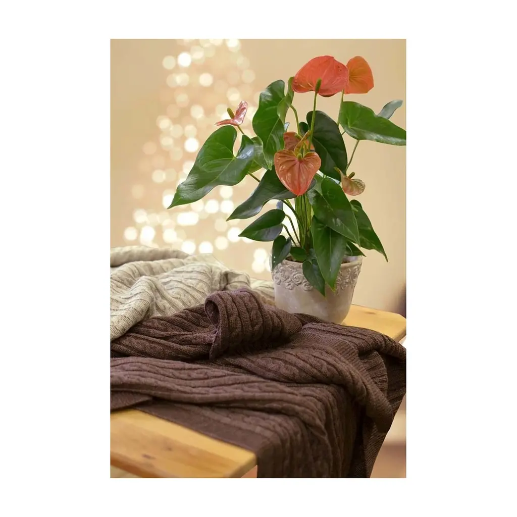 Плед Прованс SOFT косы Мокко 140х180 см (4823093410459) - фото 4