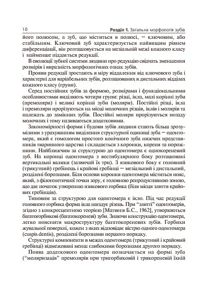 Основы клинической морфологии зубов - фото 11