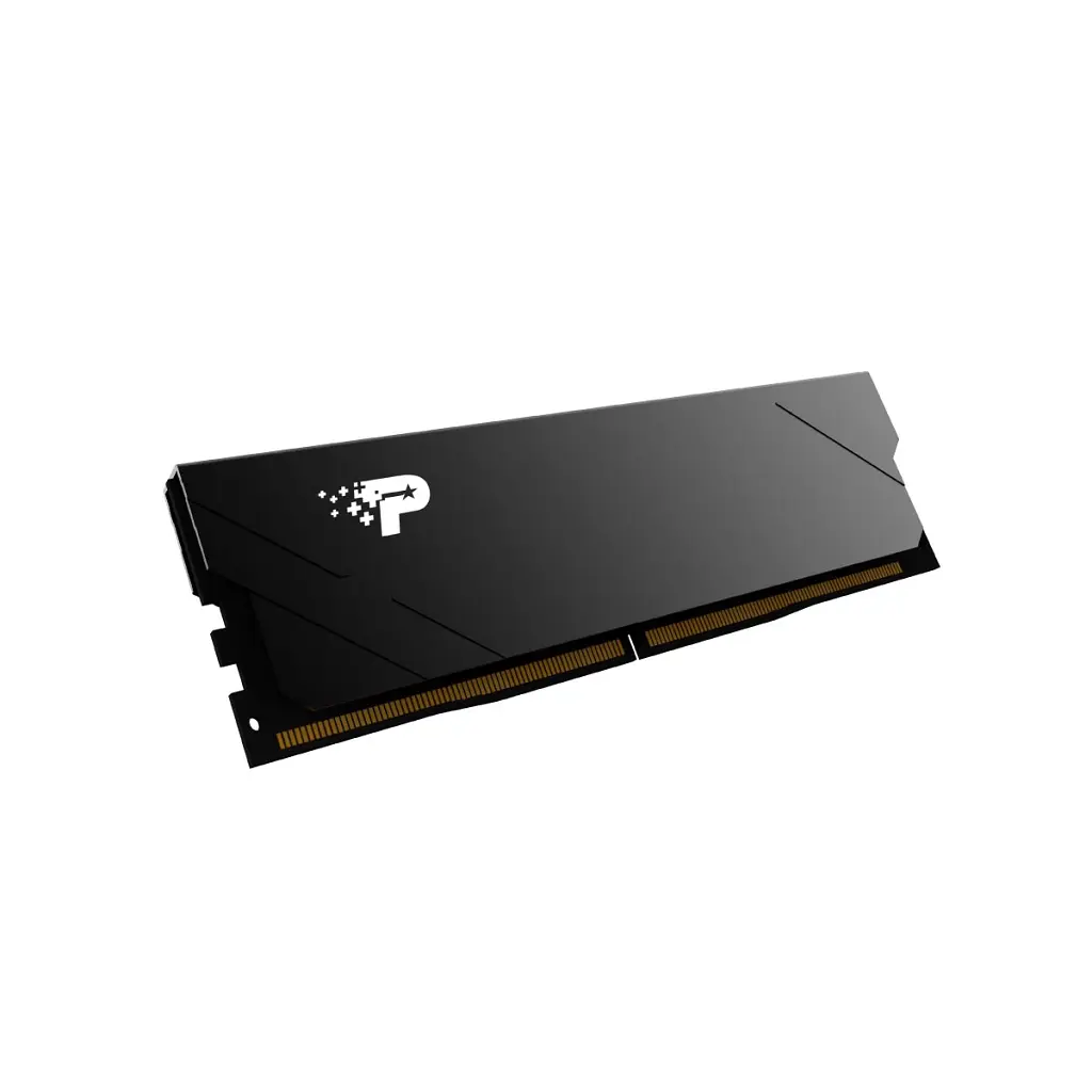 Модуль пам'яті для комп'ютера DDR5 16GB 5600 MHz Signature Line Premium Patriot (PSP516G560081H1) - фото 2