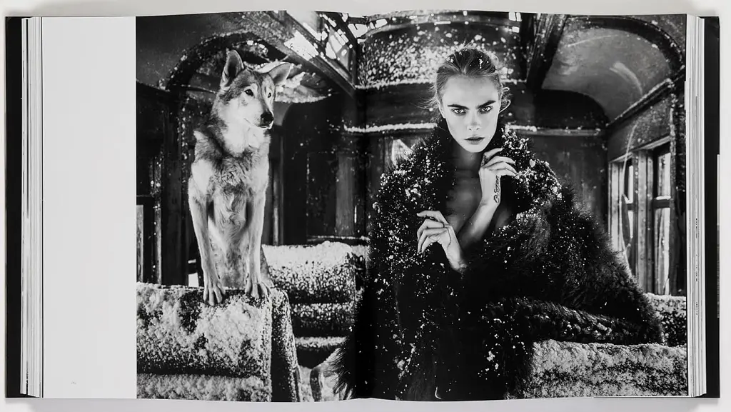 David Yarrow: The Collection - фото 2