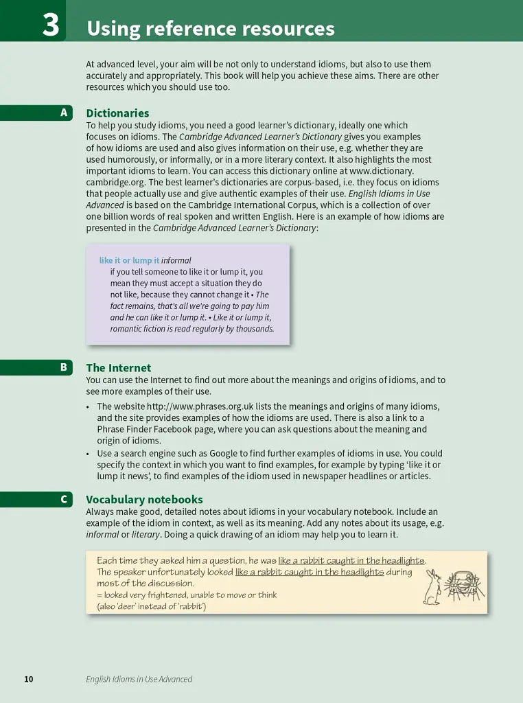 English Idioms in Use 2nd Edition. Advanced - фото 7
