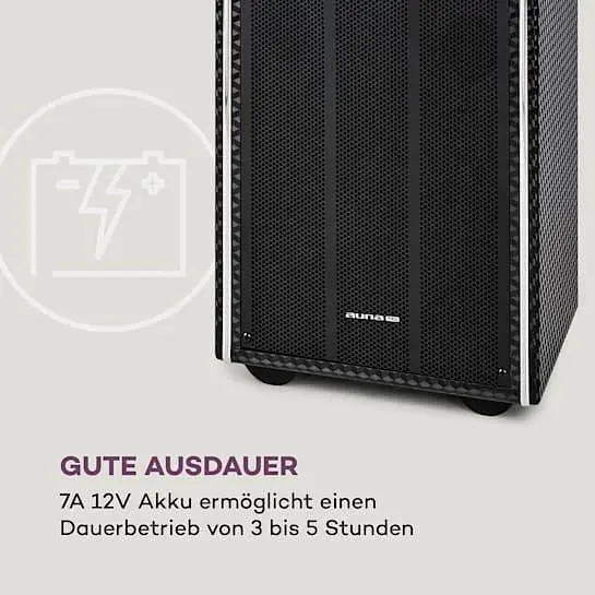 Мобильная акустическая система Auna Pro DisGo Box 2100 DVD (10035201) - фото 7