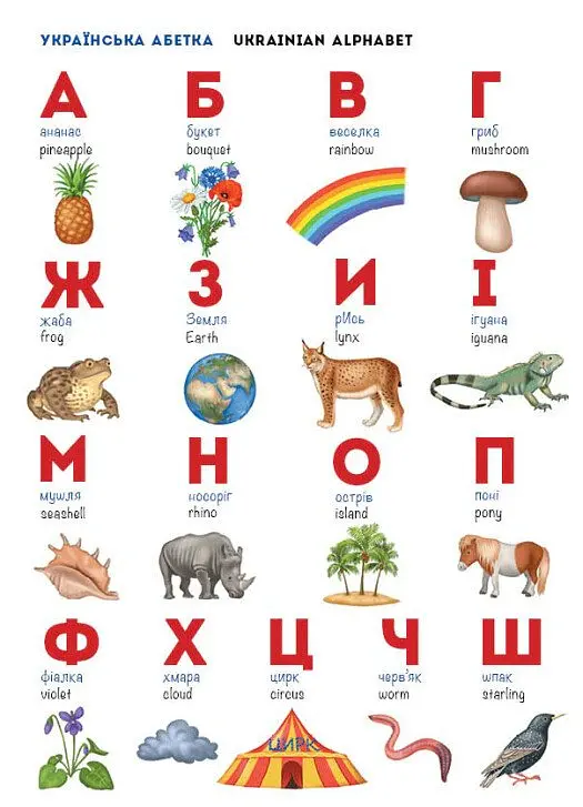 Мої перші англійські слова. Наш світ з аудіо - Наталя Мусієнко - фото 2