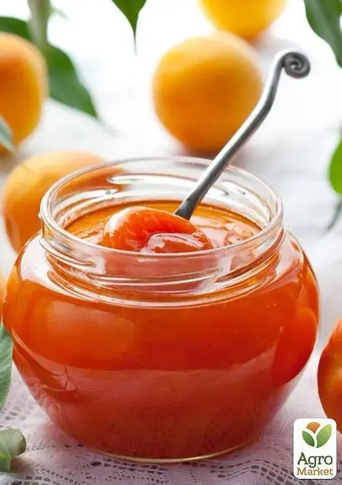 Саженец Agro-Market Абрикос Шедевр (летний сорт, средний срок созревания) 1 шт. в упаковке (39861) - фото 2