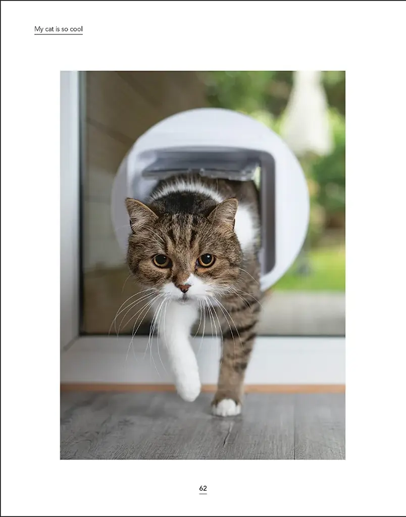 What's My Cat Thinking? Understand Your Cat to Give Them a Happy Life - фото 5