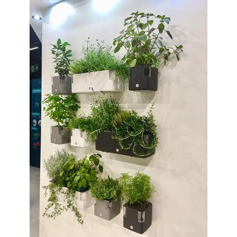 Кашпо Plastkon Cobble Trio Flower Lover с системой автополива 40x14x14 см светло-зеленое - фото 4