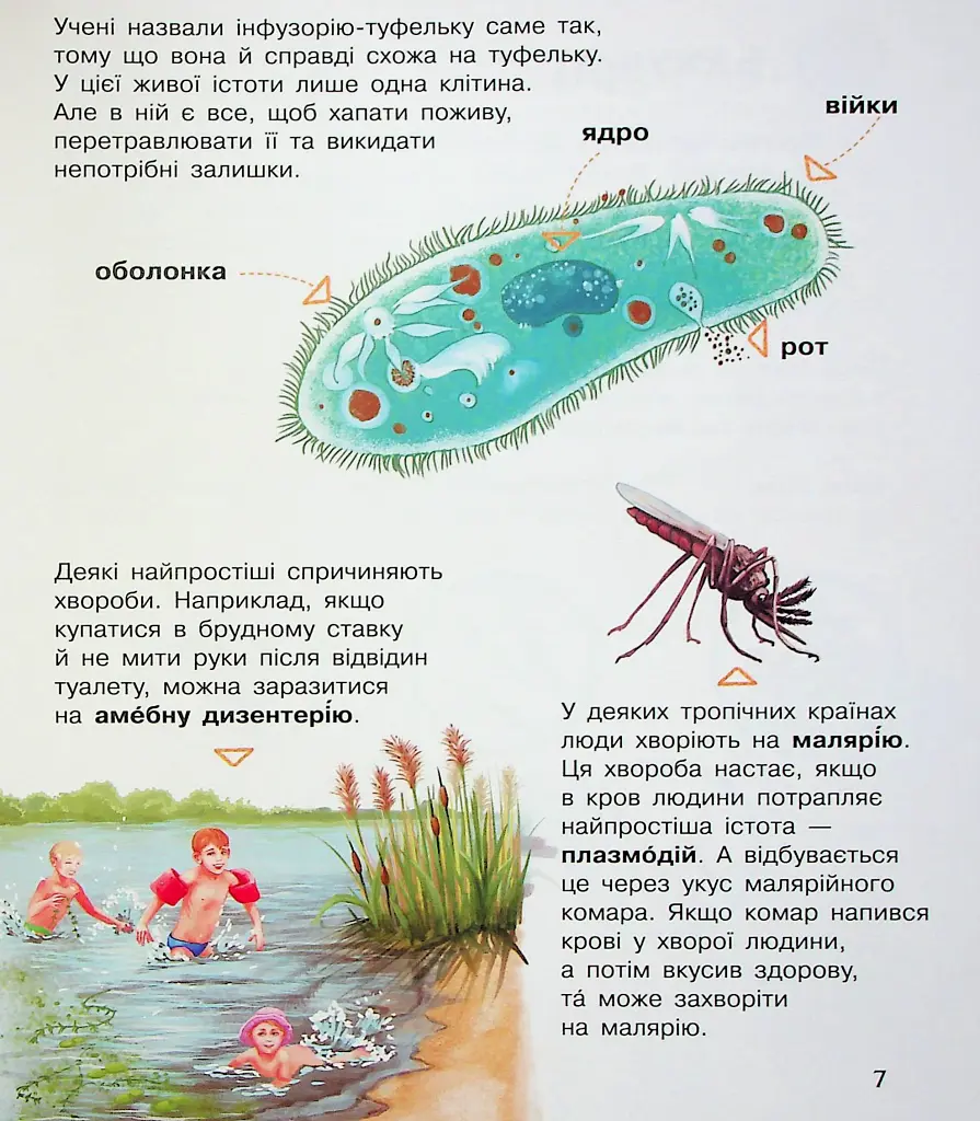 Енциклопедія дошкільника. Мікроби - - фото 10