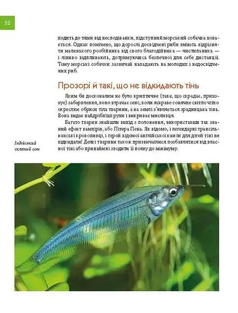 Тварини - майстри маскування. Енциклопедія для допитливих - Андрій Гапченко - фото 10
