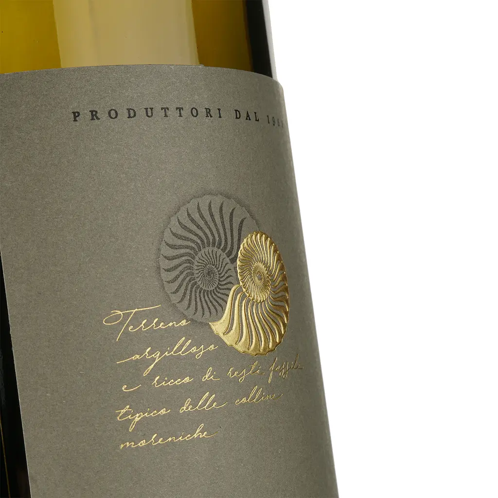 Вино Cantina Castelnuovo del Garda Soave, 11,5%, 1,5 л - фото 3
