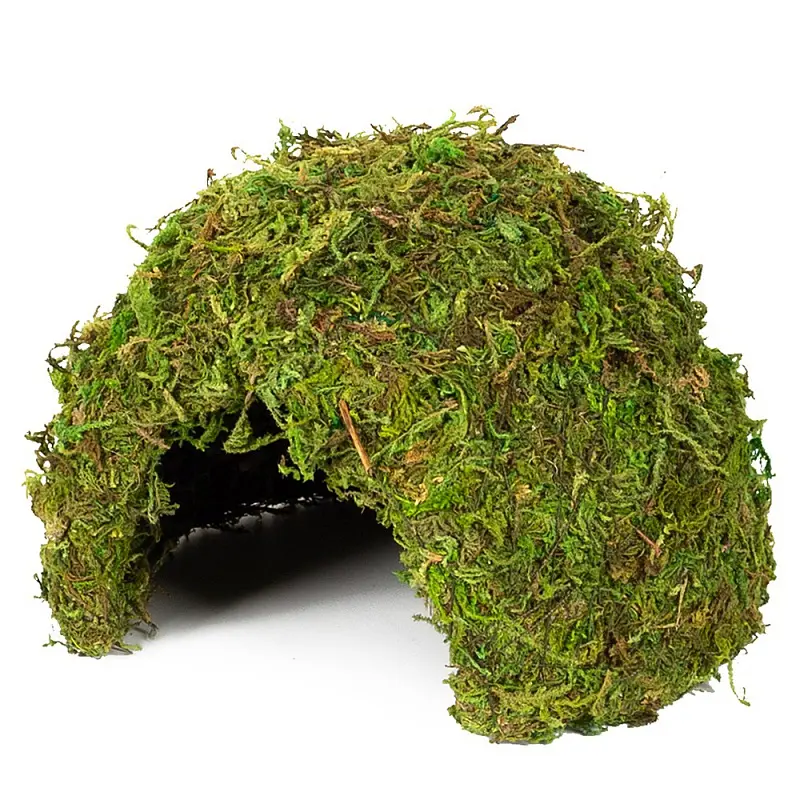 Схованка з моху Repti-Zoo Natural Mossy Dome M 14x10,5см ERS25M для тераріуму, рептилій і геконів, з живим мохом - фото 2