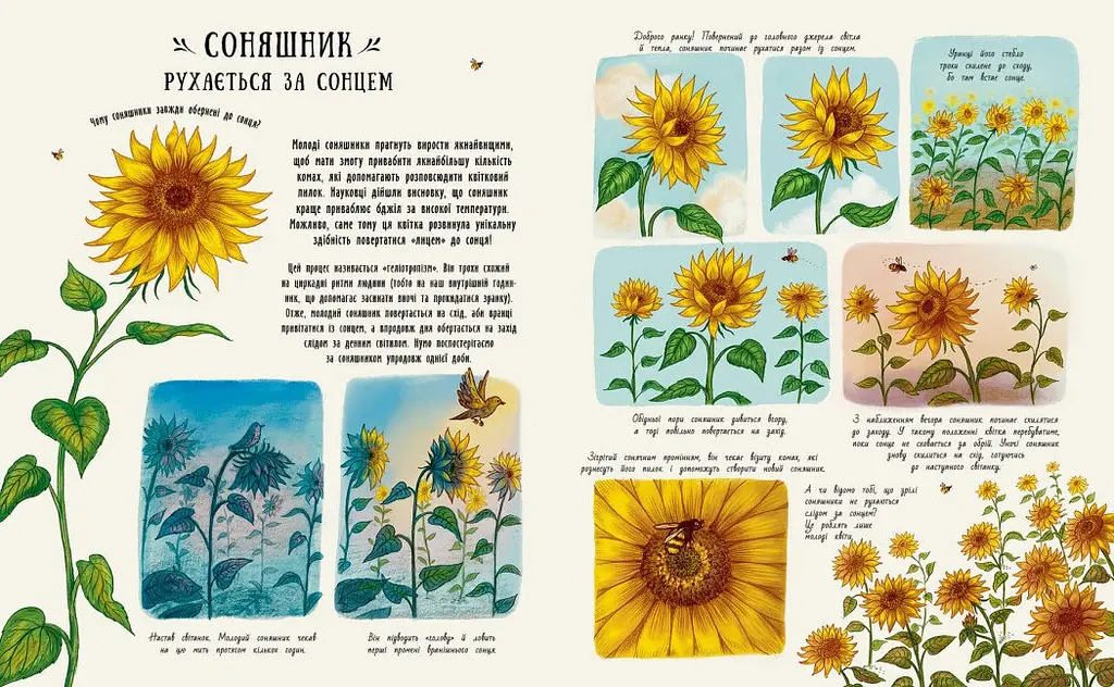 Книга Ранок Маленькі дива природи - Рейчел Вільямс (С902272У) - фото 3