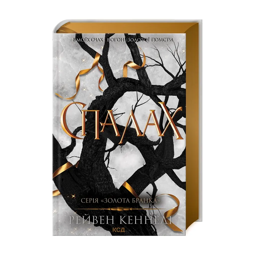 Книга Спалах - Рейвен Кеннеді КСД (9786171507975)