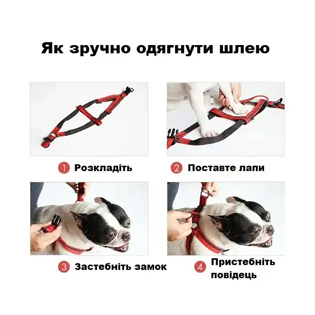 Шлея-петля з повідцем Пухнасте Щастя для котів та собак світловідбивна, S, 28-35 см/10 мм, 100 см/7 мм, салатова - фото 3