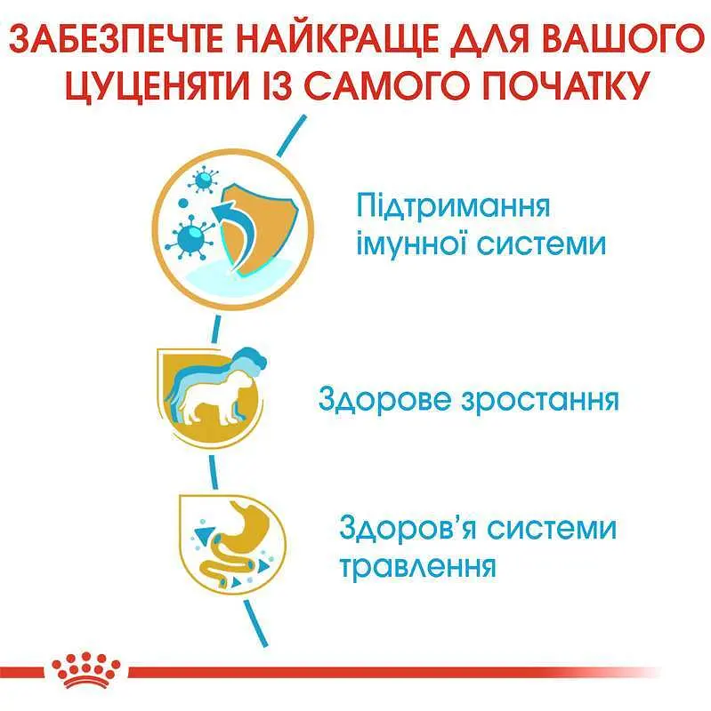 Сухой корм для щенков породы Джек Рассел Терьер Royal Canin Jack Russell Puppy, 0,5 кг (21010051) - фото 5
