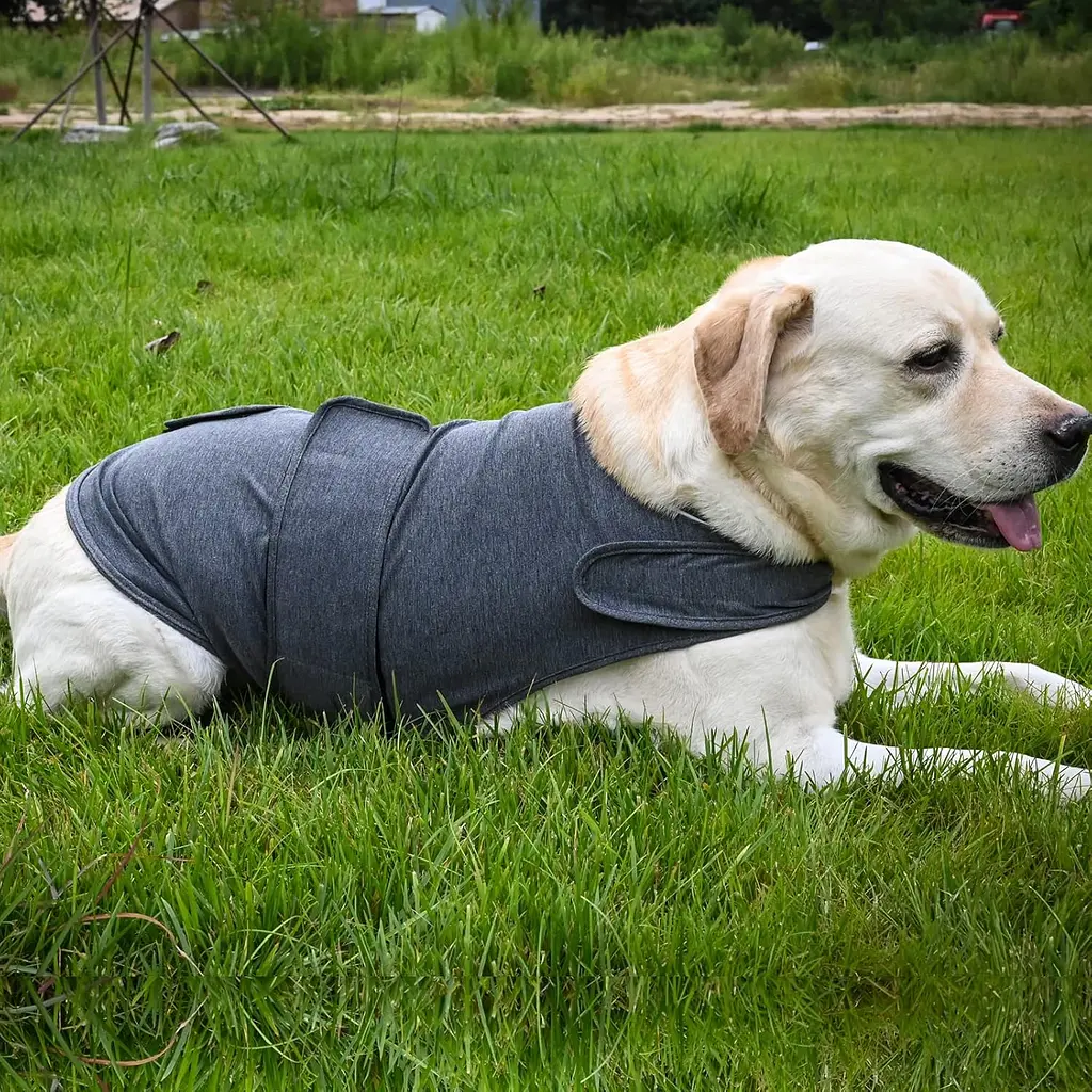 Заспокійливий жилет для собак WanTalk Dog Anxiety Jacket, Dark Grey - фото 4