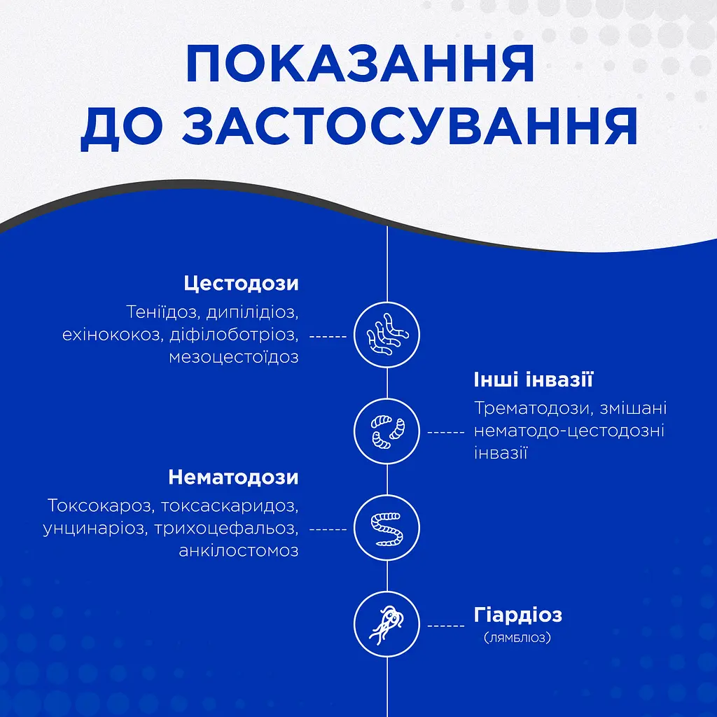 Таблетки антигельмінтні ModeS Kvantefen для котів та собак малих порід 4 шт. - фото 5