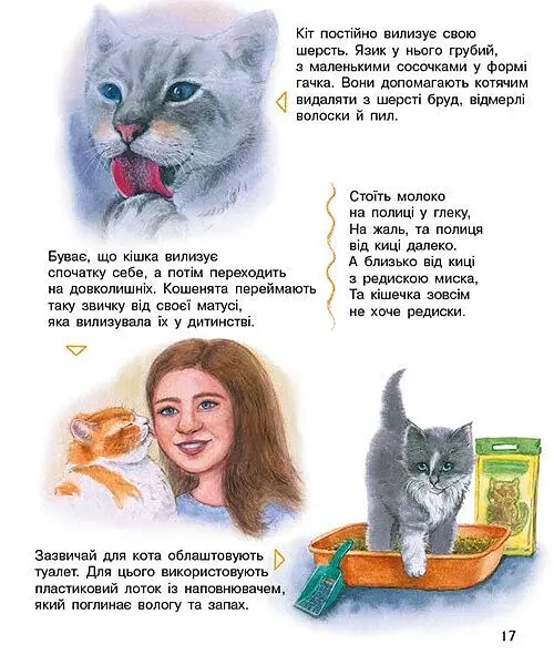 Коти. Енциклопедія дошкільника - фото 5