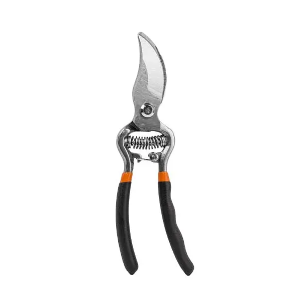 Секатор ергономічний Bradas 8,5" CARBON-STEEL KT-RG1008