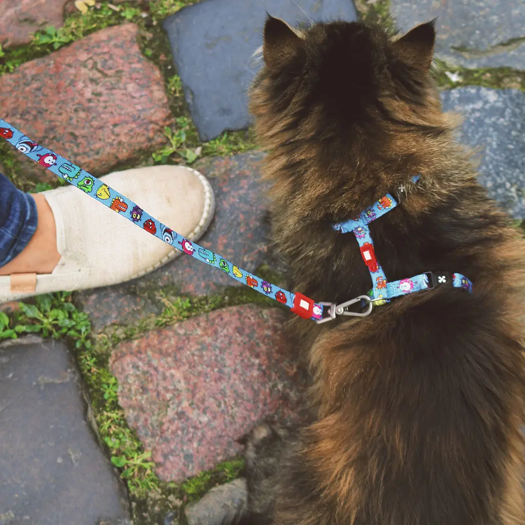 Набір для котів Шлея-повідець Max & Molly Harness Little Monsters 1 розмір  - фото 2