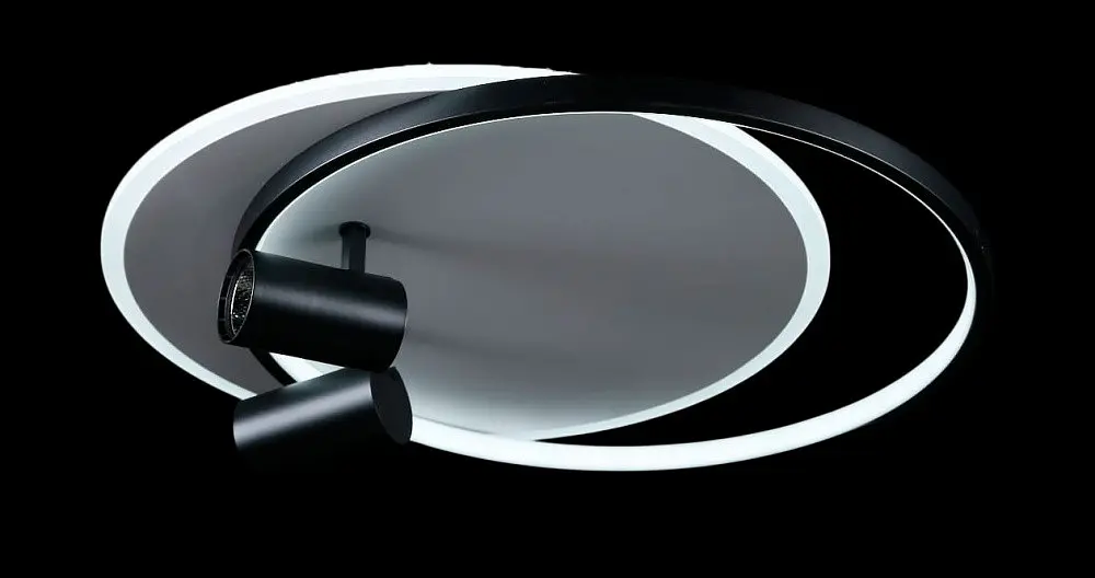 Люстра стельова LED Splendid Ray L2451/480/2+2, 4 лампи, 56 см, чорний та білий, сучасний стиль, з пультом, димер - фото 2
