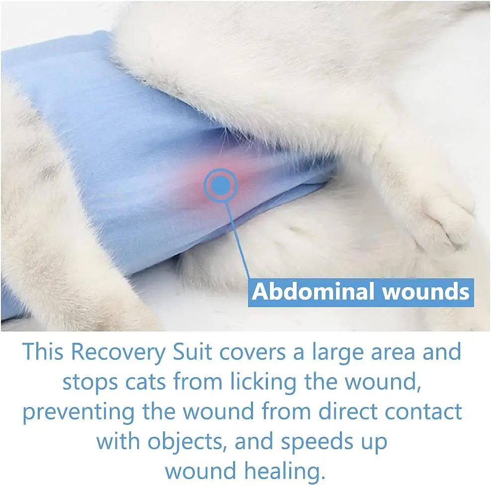 Одяг для котів після операції Holley Bow-knots Blue L - фото 5