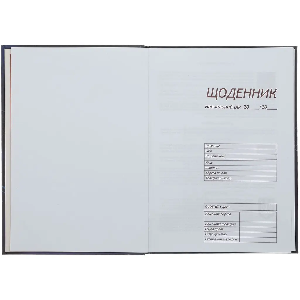 Щоденник шкільний В5 ZiBi Команда Kids Line (ZB.13820) - фото 2