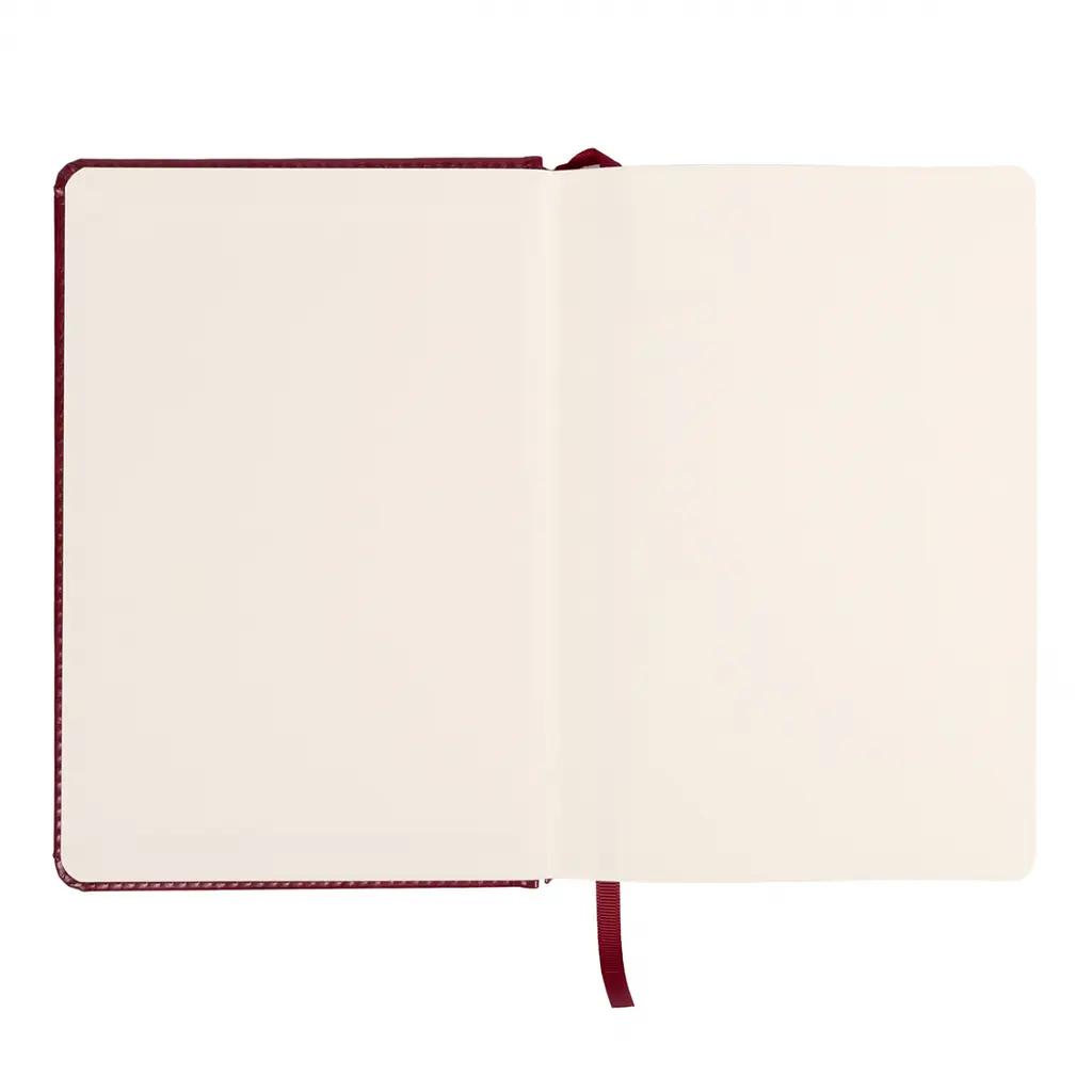 Щоденник діловий Leo Planner 2027 Vector А5 твердий бордовий 368 сторінок (252757) - фото 3