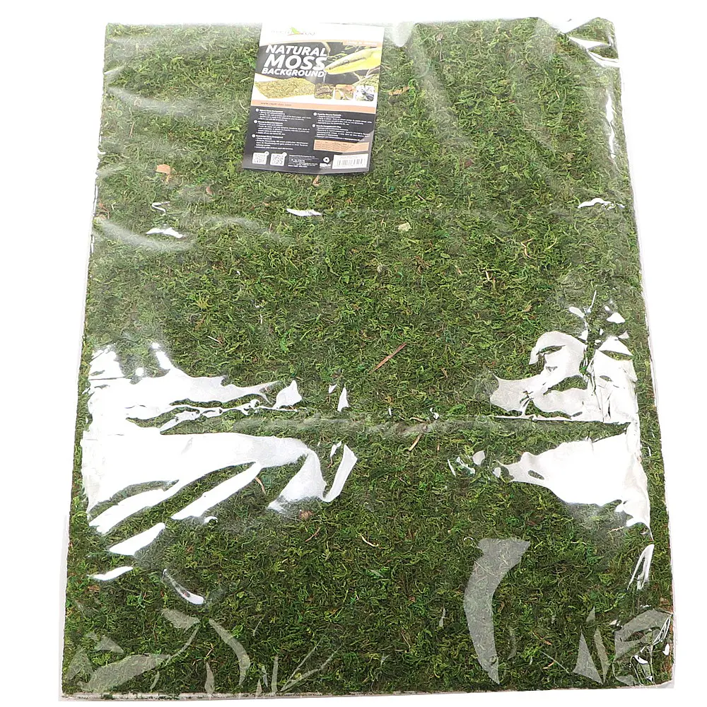 Фон з натурального моху Repti-Zoo Natural Moss Back & Bottom 50x25см 2 шт (NCM5025) для тераріуму - фото 2
