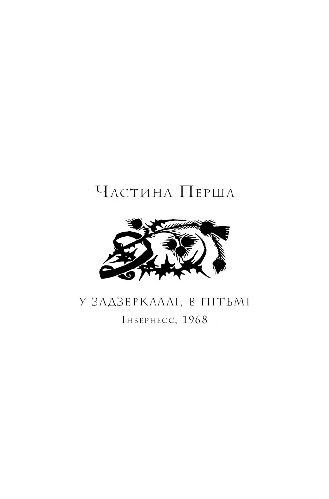 Бабка в бурштині. Чужоземка. Книга 2 - Діана Ґеблдон - фото 5