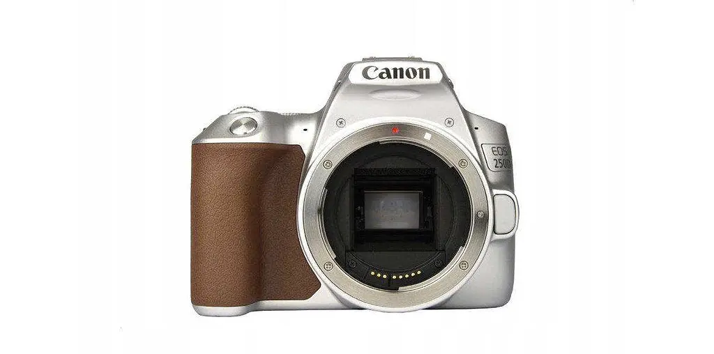 Фотоапарат Canon EOS 250D + 18-55mm IS STM Silver - фото 2