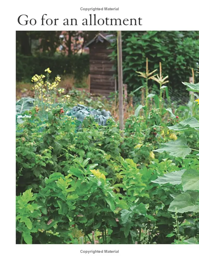 The Royal Horticultural Society Allotment Handbook. The Expert Guide for Every Fruit and Veg Grower - фото 5