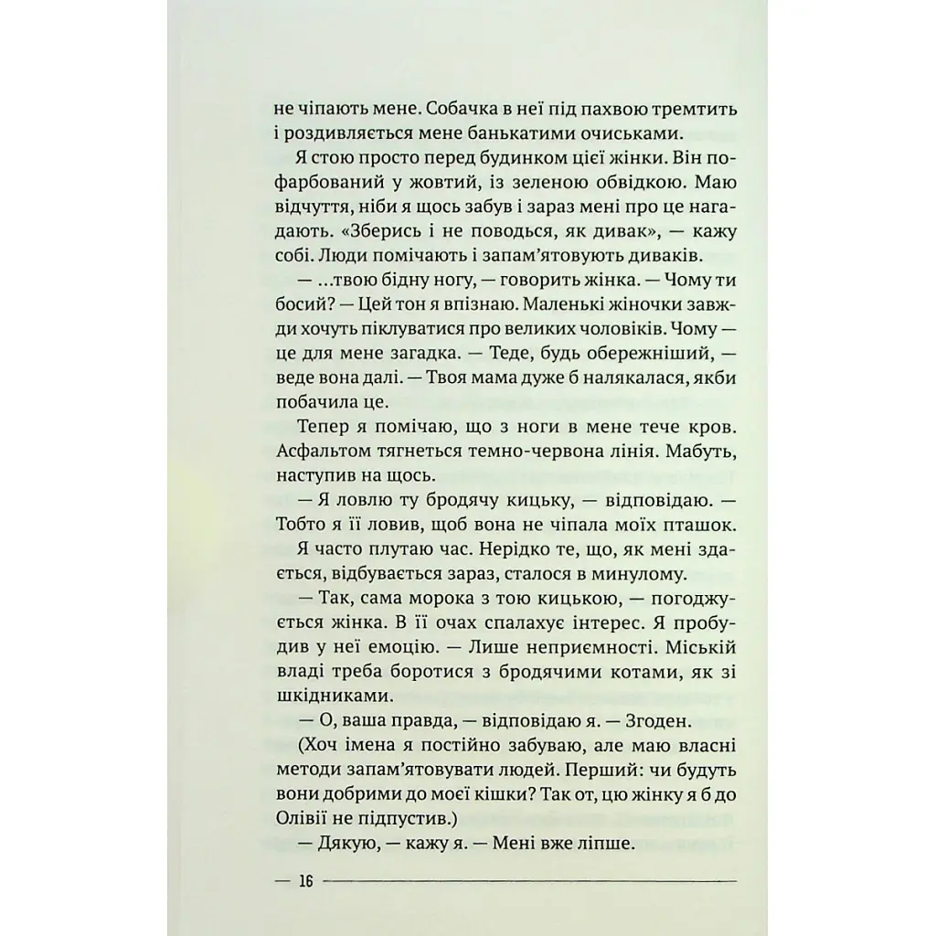Останній дім на безпечній вулиці - Катріона Ворд Vivat (9789669828538) - фото 12