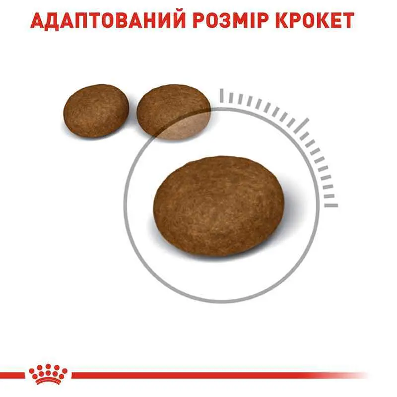 Сухой корм для кошек с проблемной шерстью Royal Canin Hair&Skin Care, с курицей, 2 кг - фото 2