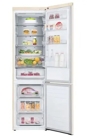 Холодильник LG GC-B509SESM - фото 2