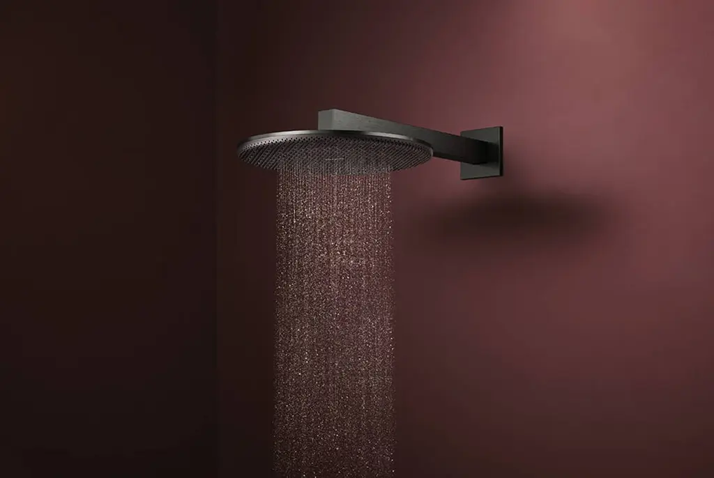 Верхній душ Hansgrohe Raindance Alive S 300 2jet EcoSmart з тримачем brushed black chrome 24541340 - фото 3
