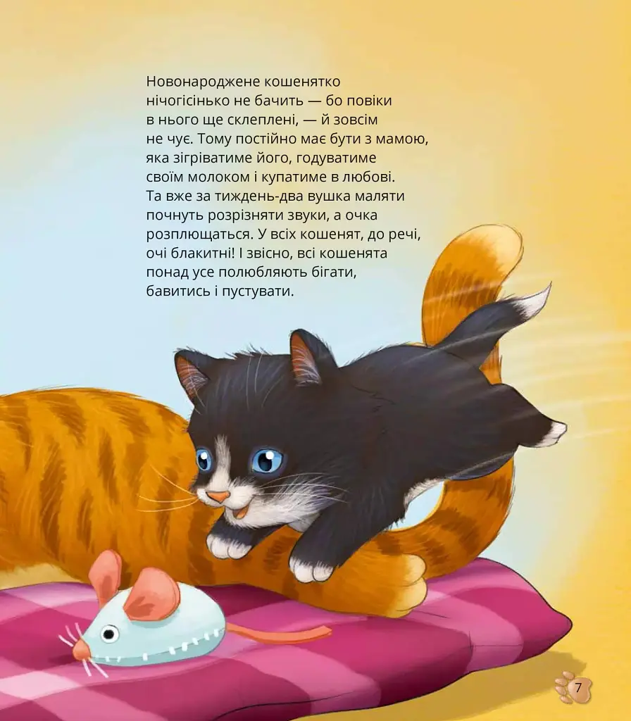 Наймиліші малюки тварин - Алехандро Альгарра - фото 8