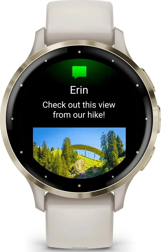 Смарт-годинник Garmin Venu 3S Soft Gold S. Steel Bezel w. French Gray Case and S. Band (010-02785-02/52) - фото 6