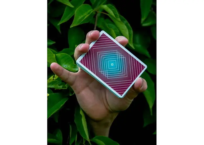 Карты игральные United States Playing Card Company AEY Catcher (Limited edition) (AEY11) - фото 7