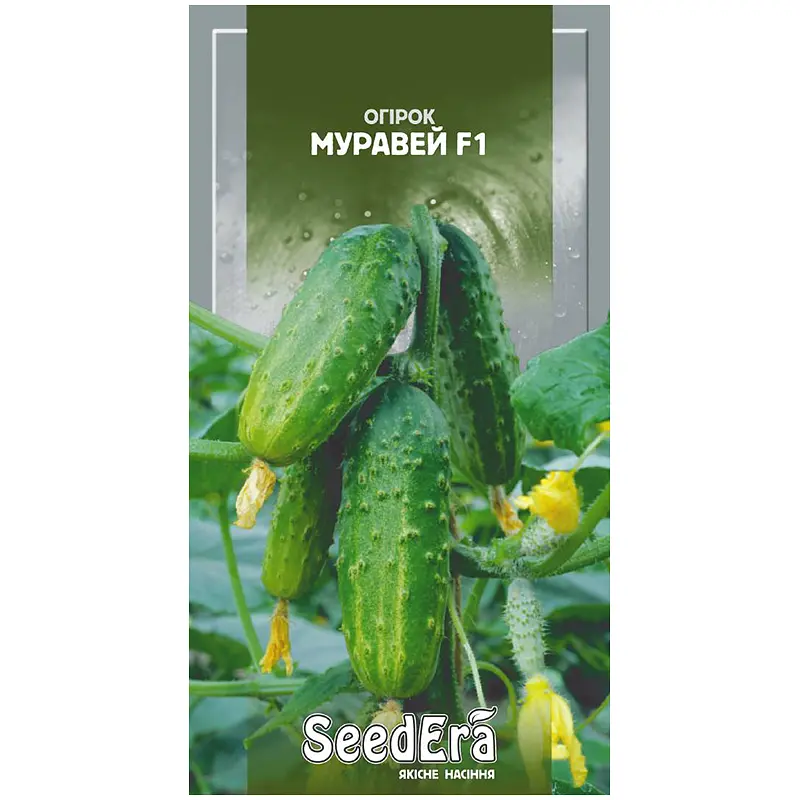 Огірок SeedЕra Муравей F1 10 шт