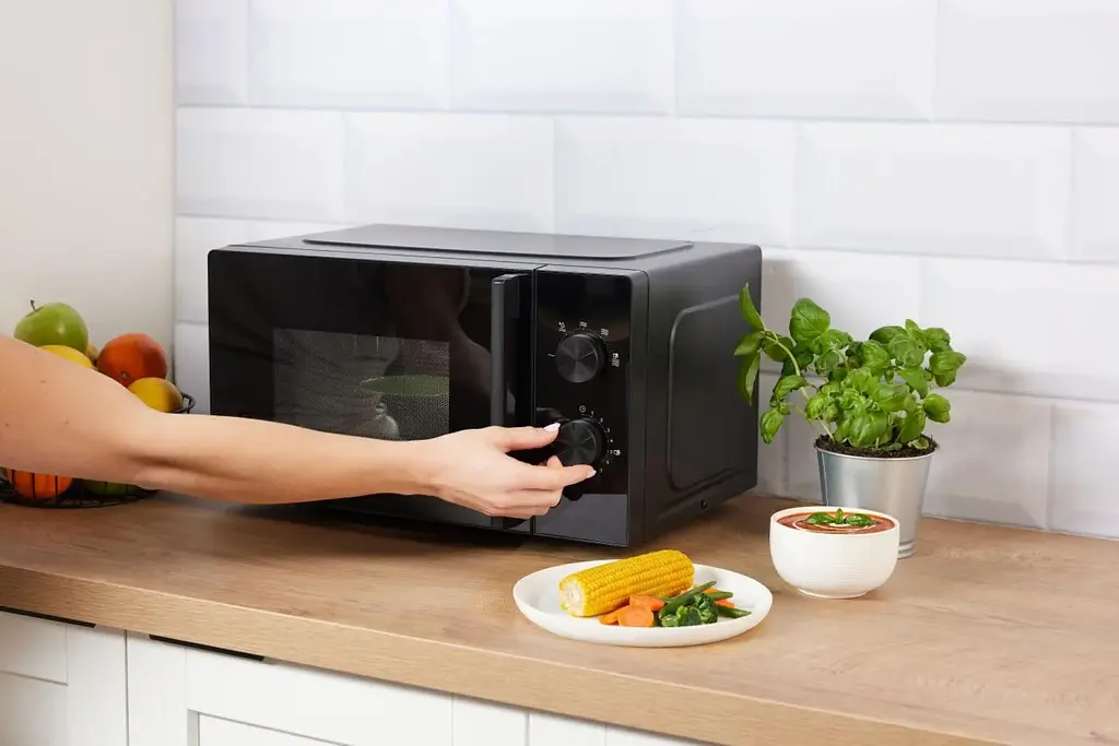 Мікрохвильова піч Gorenje MO20E1B5 (C20MXP99-G7E-B1B) (7290706) - фото 5